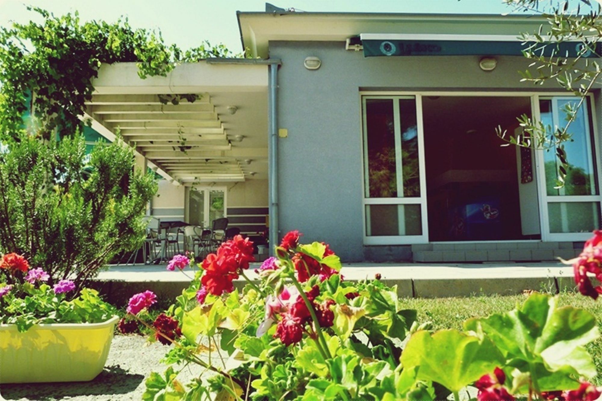 Mobile Homes Peros Zaton  Εξωτερικό φωτογραφία